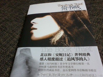 偷书
