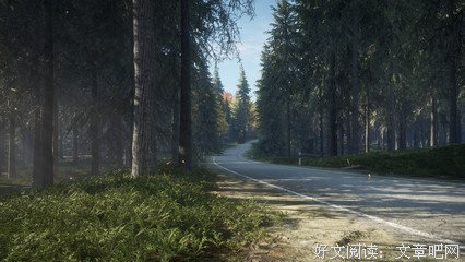 野 性