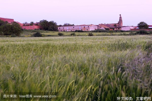 听瓦利给你讲故事
