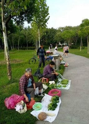 谢谢所有不动声色的善良