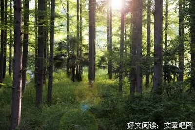 柳宗元：人生下半场，学会放下