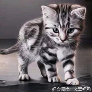  命运的安排