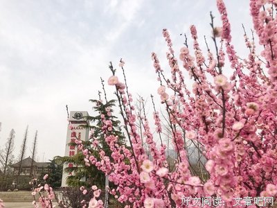 草木萌发的季节