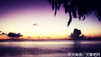 佟鸭子