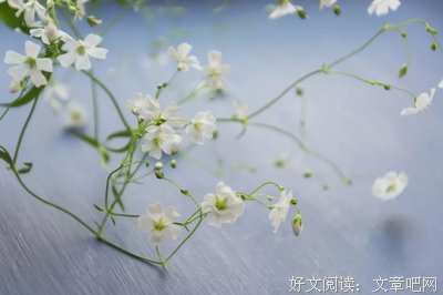  愚，是一种高级情商