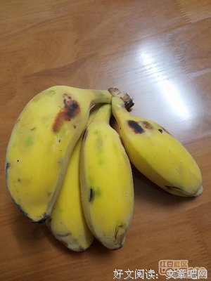 把香蕉掰直的人