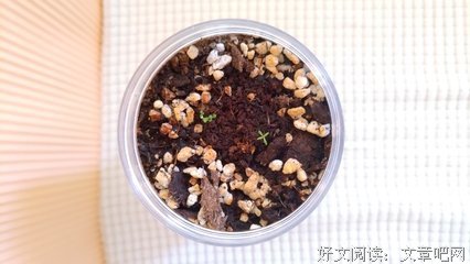  喝完这杯奶茶我们就长大了