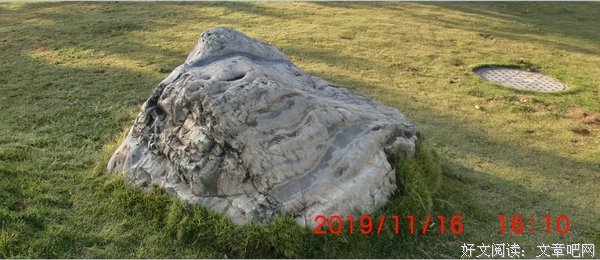 游公园，谈赏石