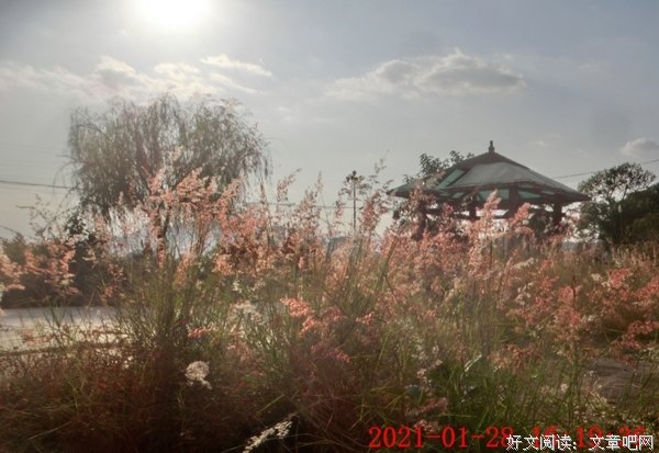 阳光是怎样照进来呢？