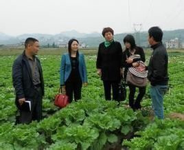 初游大芹山---省级森林康养基地，闽南第一高峰