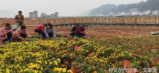 【庙讯】蔡家堡“东门伯妈庙”好消息