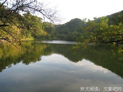 转眼，已是一岁