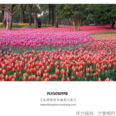 难道你眷恋