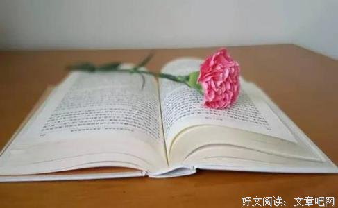 如何面对生活，真的很重要
