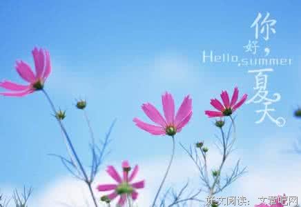 善良的回报