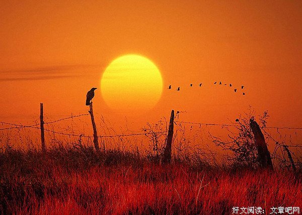 艰难的夕阳情