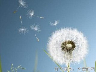 七月，告别的日子