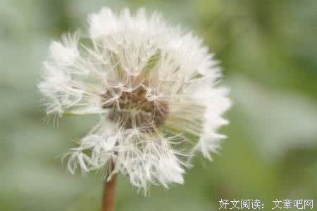 母亲并不是保姆