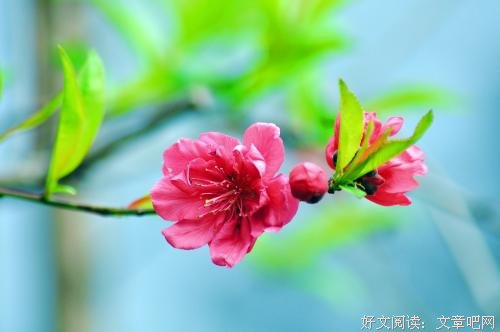 人心终究是善良的，柔软的