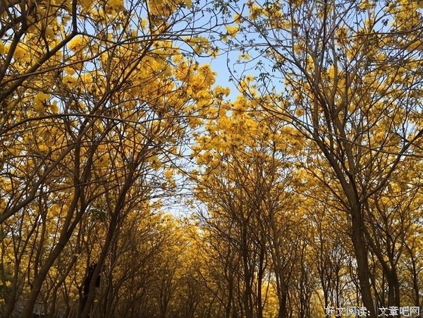 别因为意外，就把生活过得一团糟