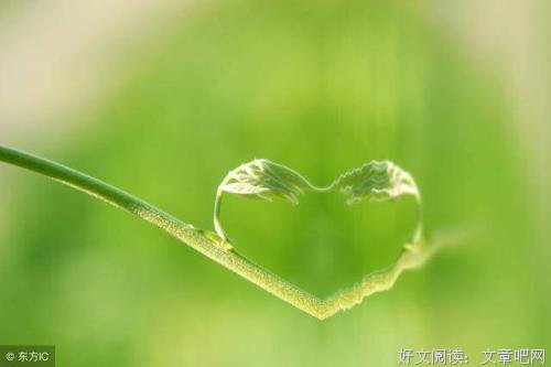 别以严格的名义，总给孩子差评
