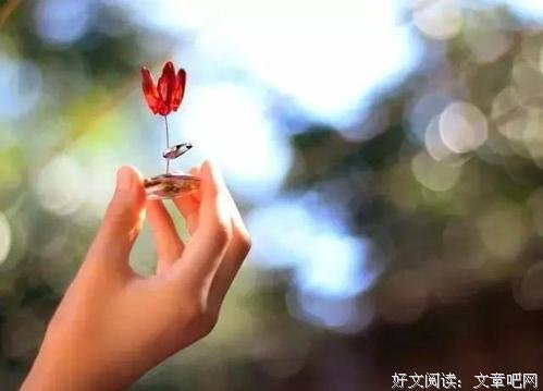 让一个人失败的，往往是控制不了情绪