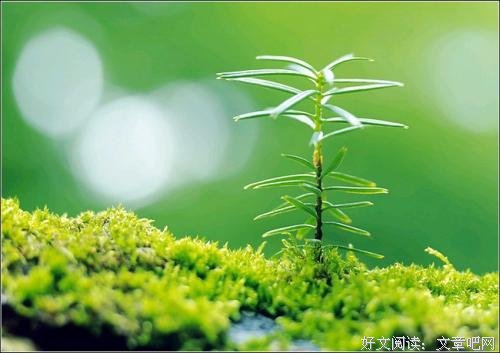 人心，总有柔软处