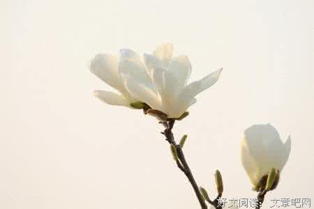 爱她，就给她期盼的