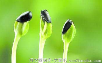 非走不可的弯路
