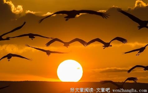 世界不好，还是见识太少？