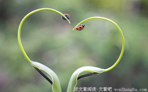 原来，我们一直相互羡慕着