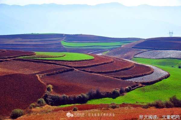 这一片土地