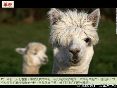 人这张嘴