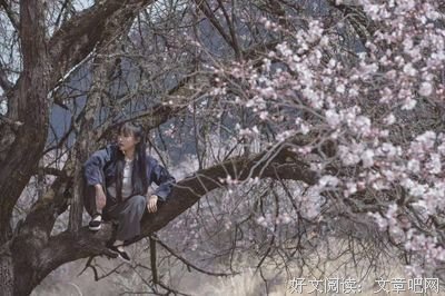 你们的样子，我们的向往
