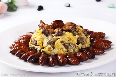 母女相会