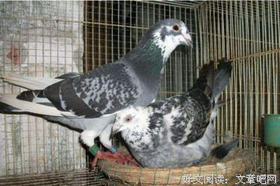 关于天落