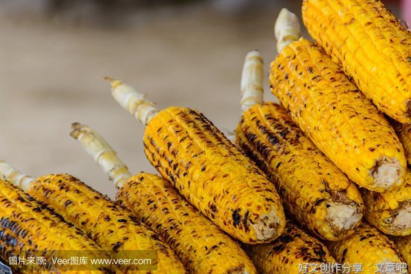 玉米种子与玉米棒