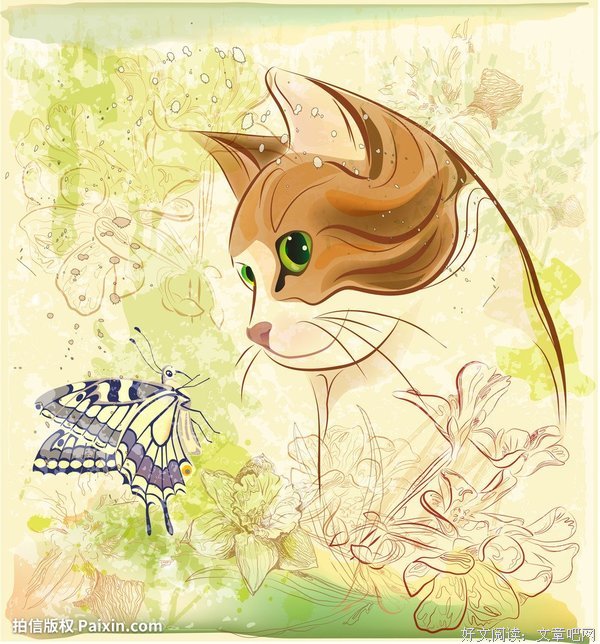 猫的水仙花
