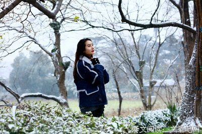  雪落无声