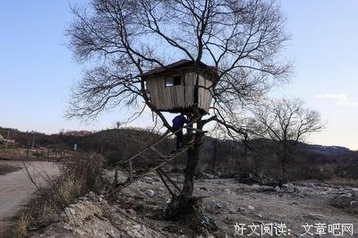 爱的发呆厅