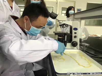  养虫子的男人