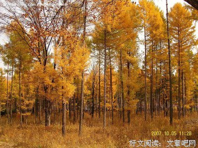  草不谢荣于春风，木不怨落于秋天