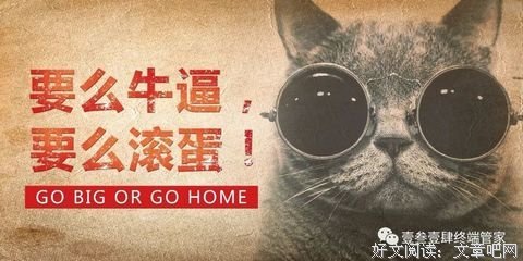 不要假装努力，结果不会陪你演戏