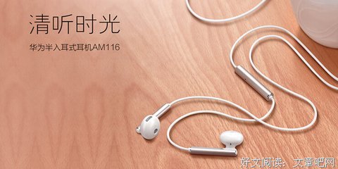 半只耳机