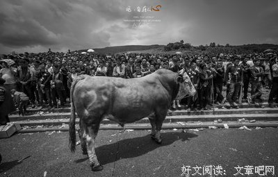拥抱我的梦想，等待绽放