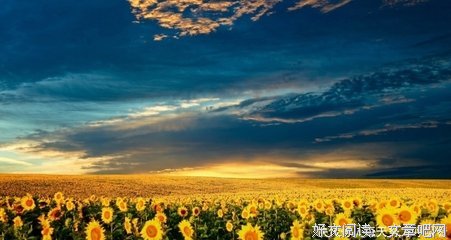  愿与美好事物相处