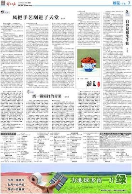 烧一锅霜打的青菜