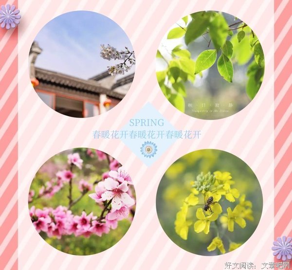  春天，花开得那么好