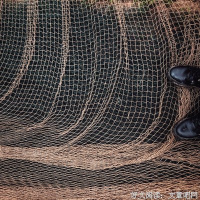  冰心的“可惜”