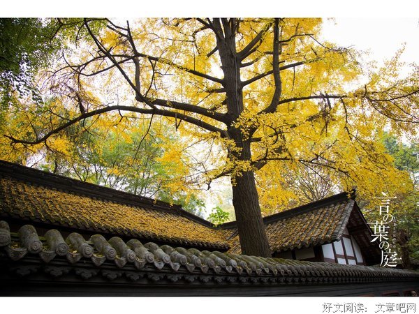  最是橙黄橘绿时